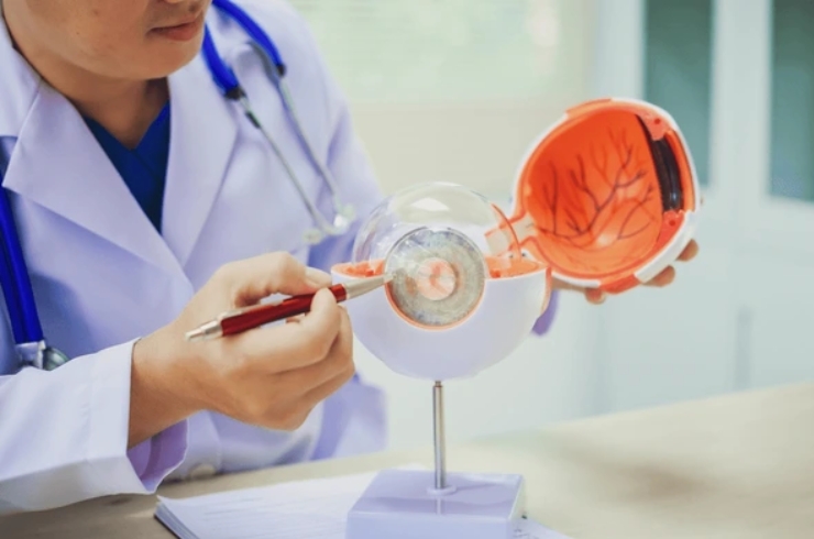 Diabetic Retinopathy Screening & Treatment------19